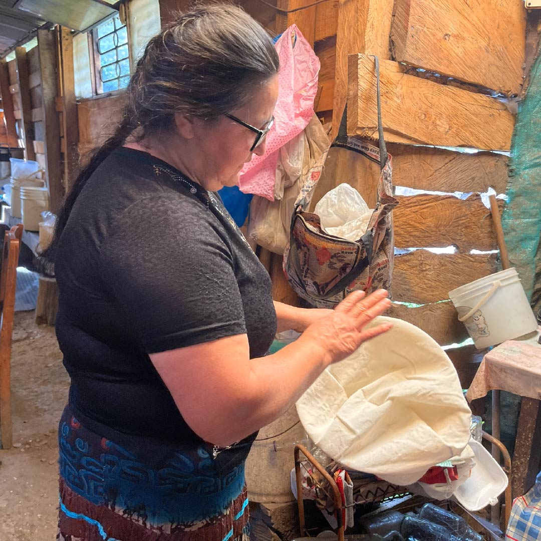 MIPARAMOEMPRENDE-LACTEOS-LA-BONANZA-CACOTA-10