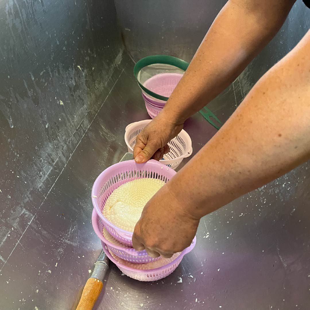 MIPARAMOEMPRENDE-LACTEOS-LA-BONANZA-CACOTA-12