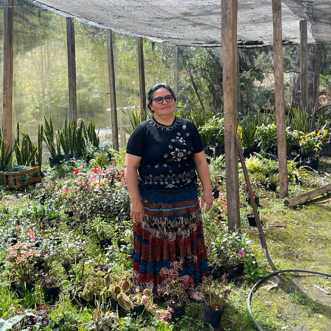 MIPARAMOEMPRENDE-LACTEOS-LA-BONANZA-CACOTA-2