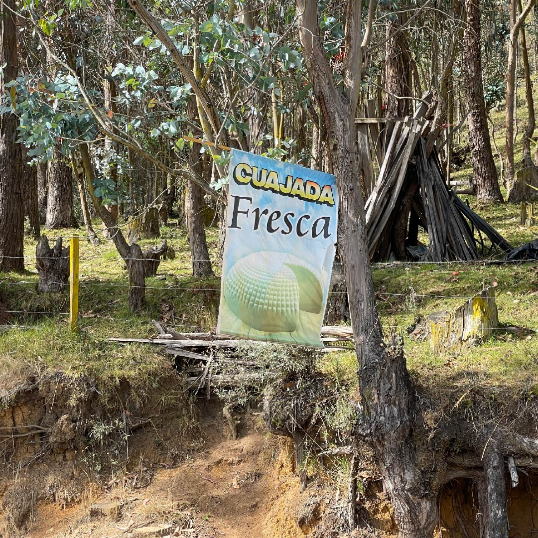 MIPARAMOEMPRENDE-LACTEOS-LA-BONANZA-CACOTA-8