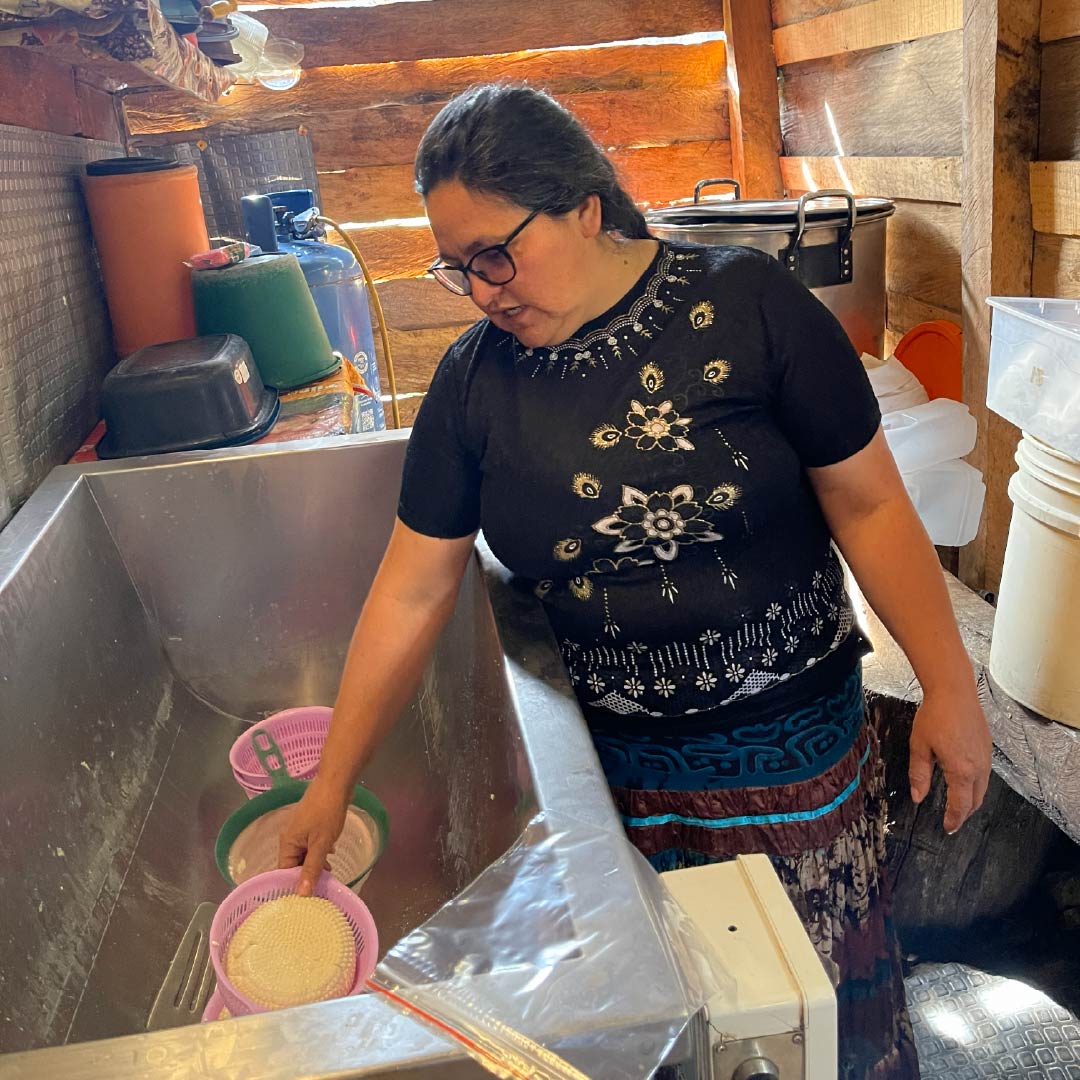 MIPARAMOEMPRENDE-LACTEOS-LA-BONANZA-CACOTA-9